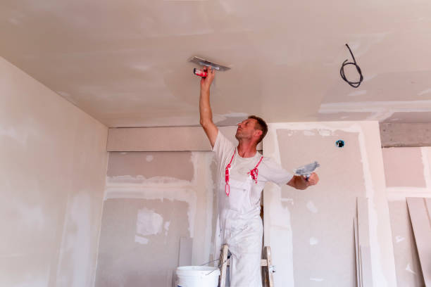 Best Drywall Texturing  in Auburn, WA